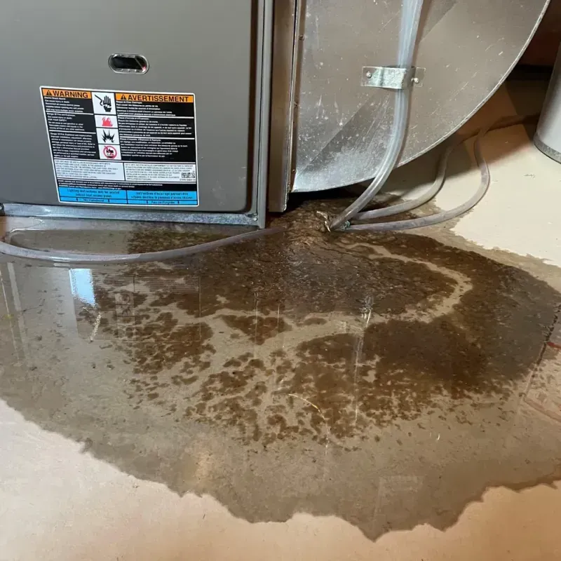 Appliance Leak Cleanup in Laughlin, NV